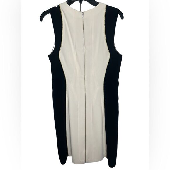 Rag & Bone Ivory/Black Colorblock Metallic Trim Dupont Sheath Dress Size 8 - Picture 3 of 12